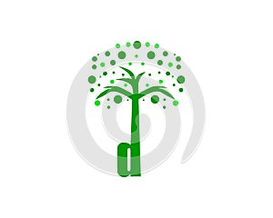 D letter tree logo