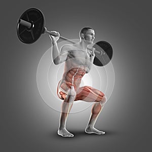 3D male figure in barbell squat photo