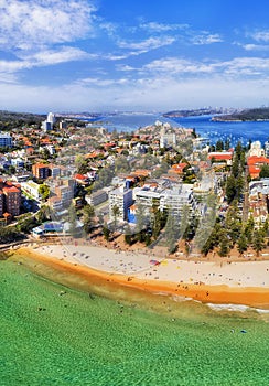 D Manly Beach 2 CBD Vert Pan