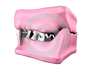 3d model of cat teeth cast.
