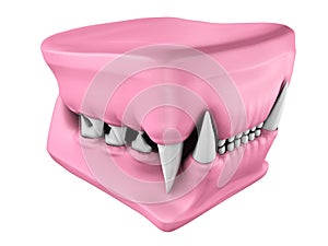 3d model of cat teeth cast.