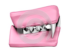 3d model of cat teeth cast.