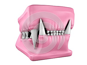 3d model of cat teeth cast.