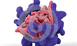 AI-Generated Protein Structure