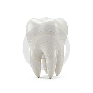 A 3D model of a human molar tooth displayed on a white background. The model is