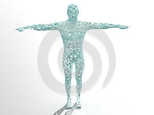 3D model human shape