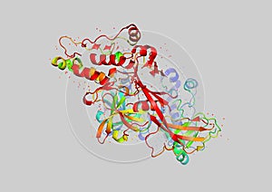 3D model of a protein molecule
