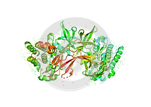3D model of a protein molecule