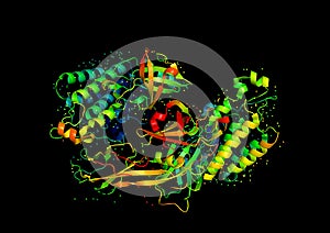 3D model of a protein molecule photo