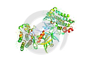 3D model of a protein molecule