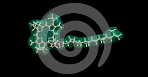 Chlorophyll molecule transparent surface and ball and stick model . 3d rendering photo
