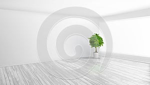 3D Modern Bright Interior Background