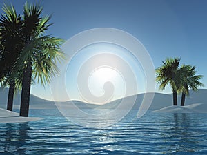 3D palm trees and ocean