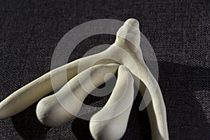 3d printed female sex organ clitoris for anatomy lessons