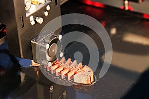 3D printer for plastics