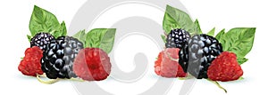 3D realistic Blackberry and raspberry isolated on white background. Set fresh, summer berry with green leaft. Black and