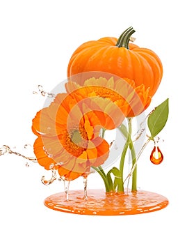 3D Realistic close-up of a pumpkin and some orange flowers in water splash, capturing the beauty of nature in the fall.