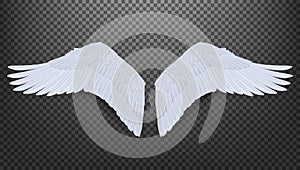 3D Realistic Pair Of White Angel Style Wings