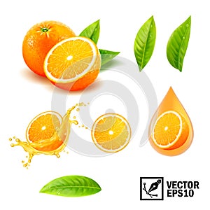 3d realistic vector set of elements whole orange, sliced orange, splash orange juice, drop orange oil, leaves photo