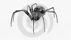 3D Render of Black Widow Spider