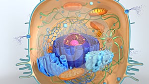 3d render of body cells. 3d illustration cell modell. photo