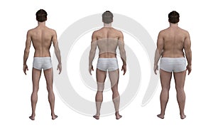 3D Render : the diversity of male body shape including ectomorph, mesomorph, endomorph