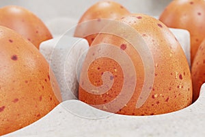 3d Render of Egg Box