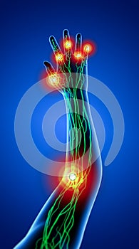 3D rendering illustration of lymphatic system