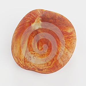 3d Render of Hazelnut