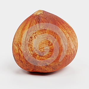 3d Render of Hazelnut