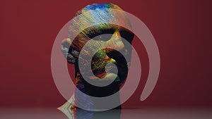 Head Human shattered portrait