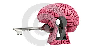 Brain with key isolated on white background