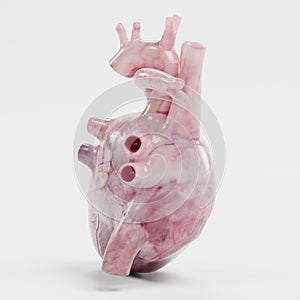 3d Render of Human Heart