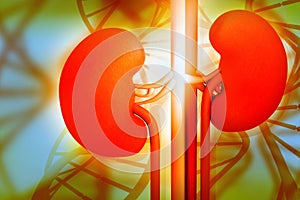 3d render of Human kidney with DNA