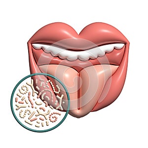 3d render Human Oral microbiome isolated concept. Healthy probiotic bacteria in open mouth. Tooth and tongue microbiota