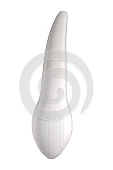 3d render of human tooth