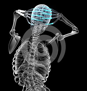 3d render illustration of the human phalanges hand