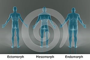 3D Render : illustration of male body type, film negative shader