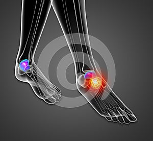 3d render illustration of the malleolus bone