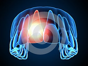 3d render of  jaw x-ray with throbbing toothache