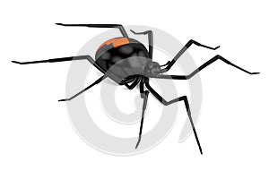 3d render of latrodectus hasselti