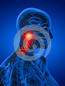 3d render medical illustration of the cervical spine