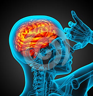Trojrozměrná grafika vykreslená počítačem zdravotní ilustrace z člověk mozek 