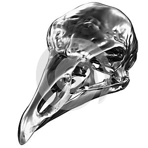 Metallic Bird Skull