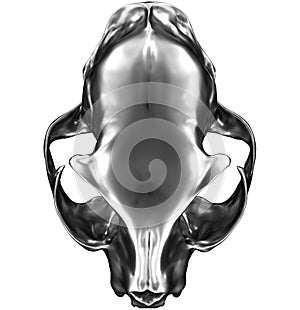 Grafica tridimensionale resa al computer da metallico gatto cranio 