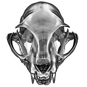 3D render of metallic Cat Skull