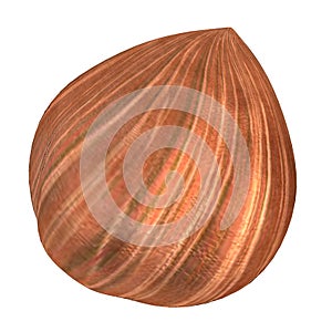 3d render of nut - hazelnut