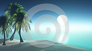 3D render palm tree island