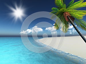 3D render of a palm tree on a sandy beach