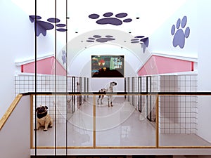 3d render of pet shop